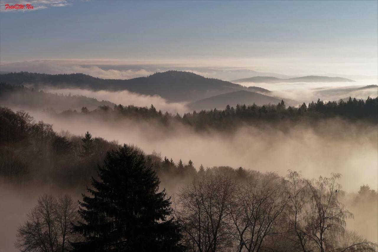 Ferienwohnung Uns Uwe Freyung Exteriér fotografie